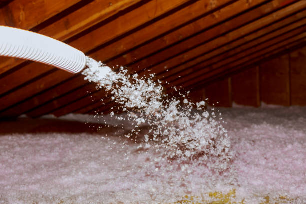 Best DIY Insulation Kits and Guidance in Sahuarita, AZ